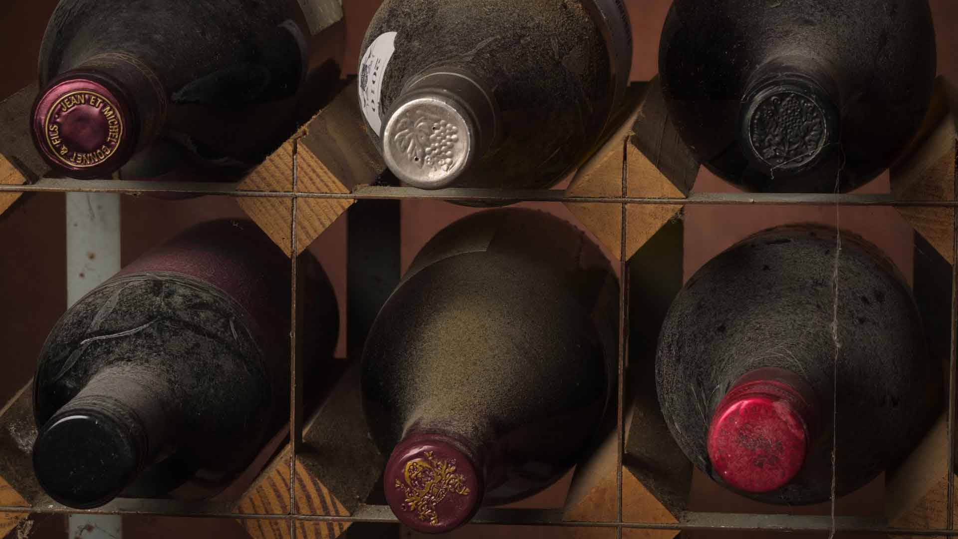 Bodega de vinos